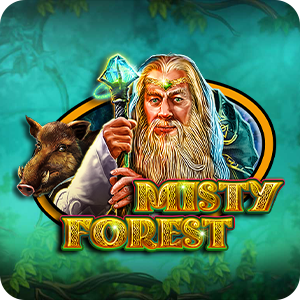 Misty Forest